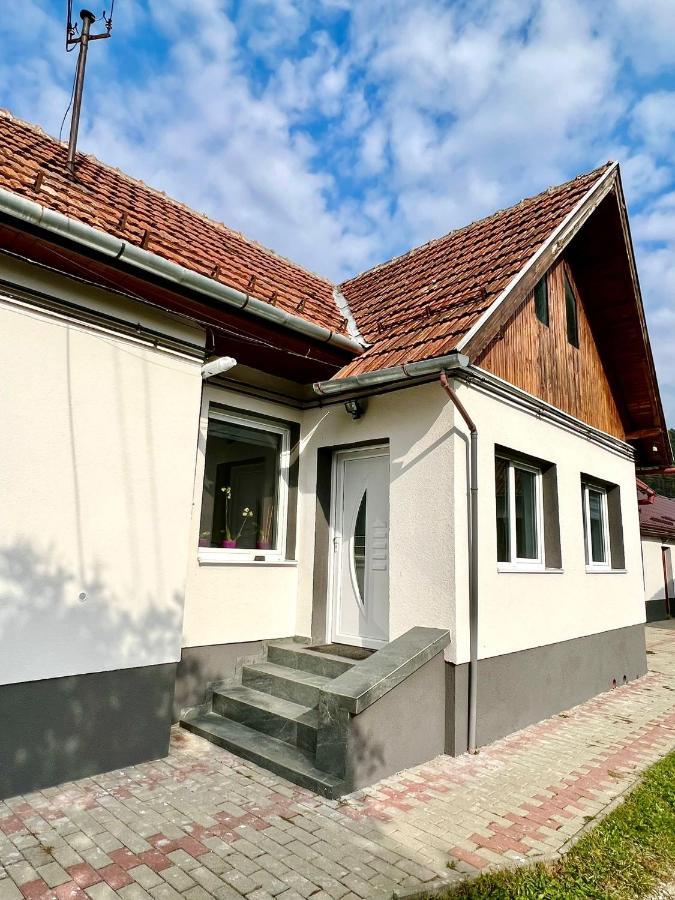 Silver House Rasnov 外观 照片