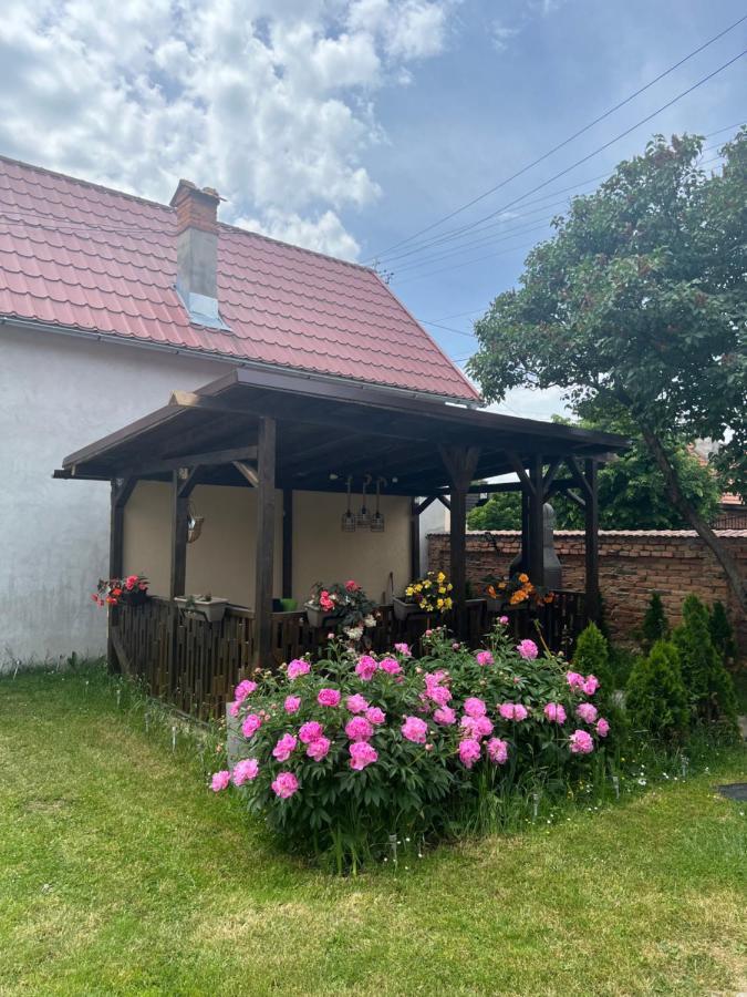 Silver House Rasnov 外观 照片